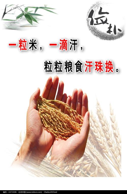 制作台湾南亚技术学院成绩单